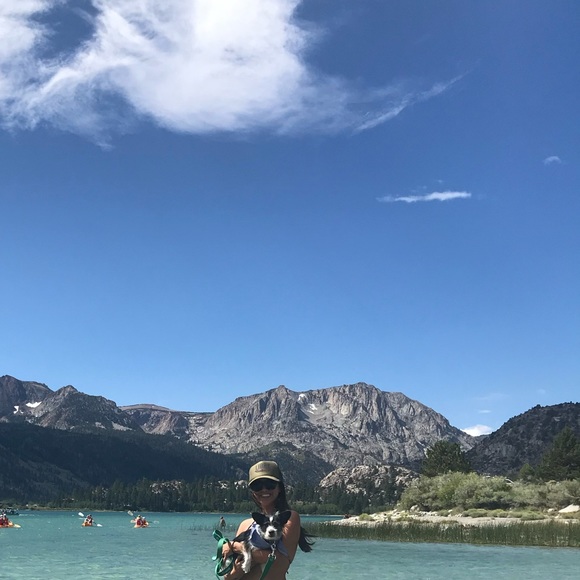 Meet your Posher, Brenda - Picture 2 of 3